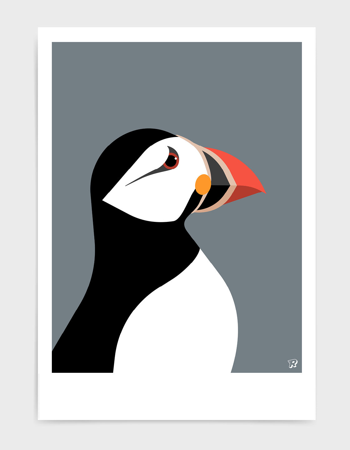 Colorful Puffin wall art showcasing vibrant colors and unique markings, perfect for home decor.