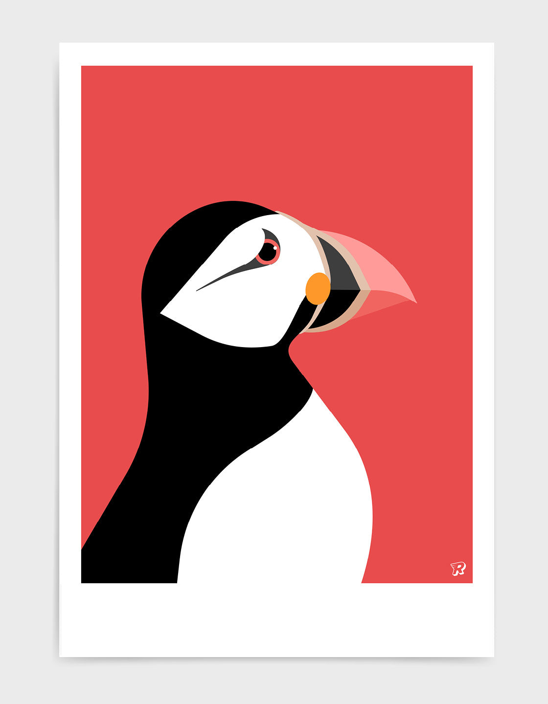 Colorful Puffin wall art showcasing vibrant colors and unique markings, perfect for home decor.