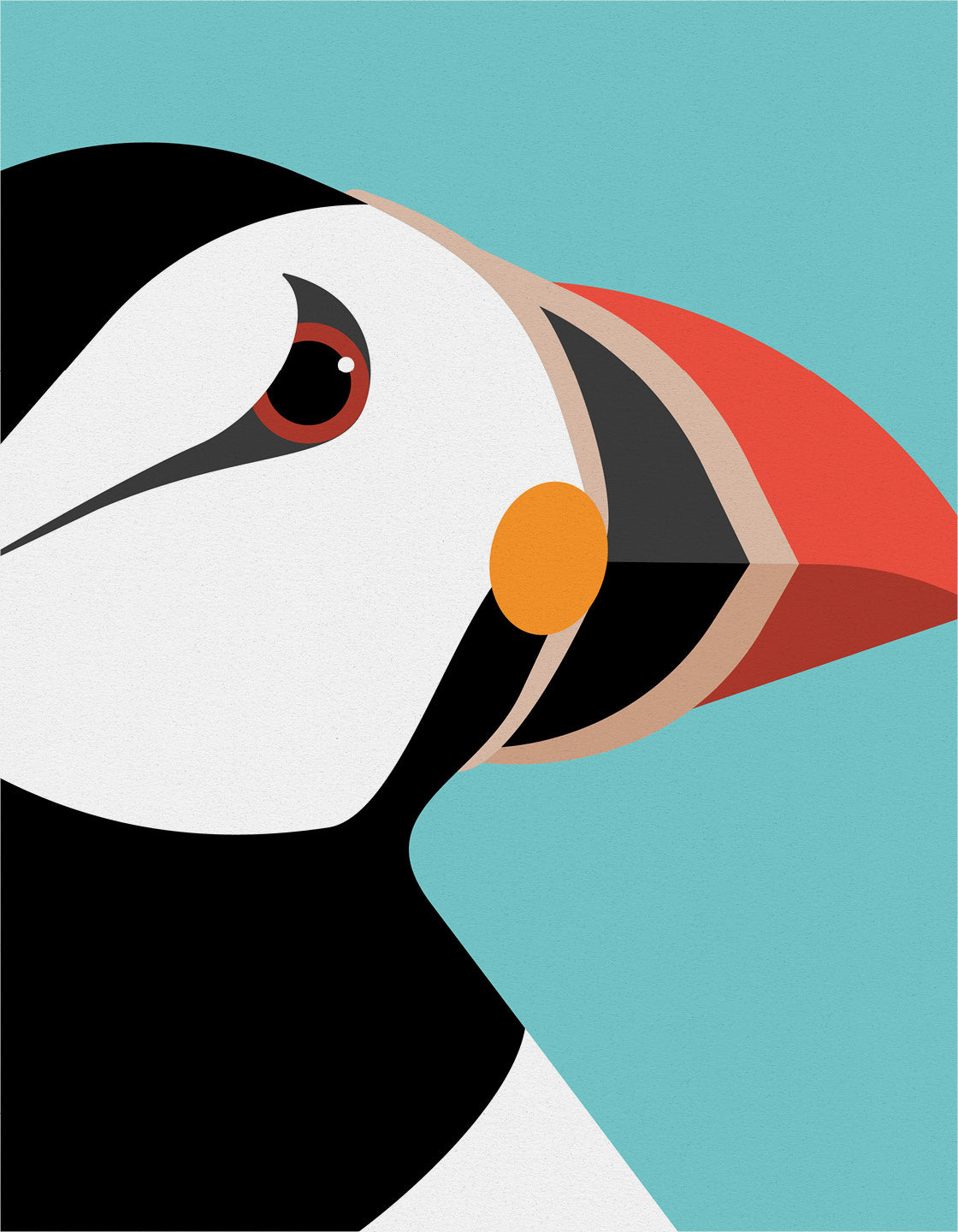 Colorful Puffin wall art showcasing vibrant colors and unique markings, perfect for home decor.