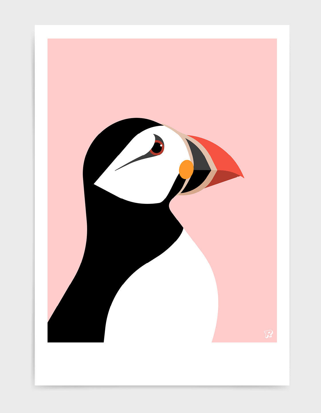 Colorful Puffin wall art showcasing vibrant colors and unique markings, perfect for home decor.