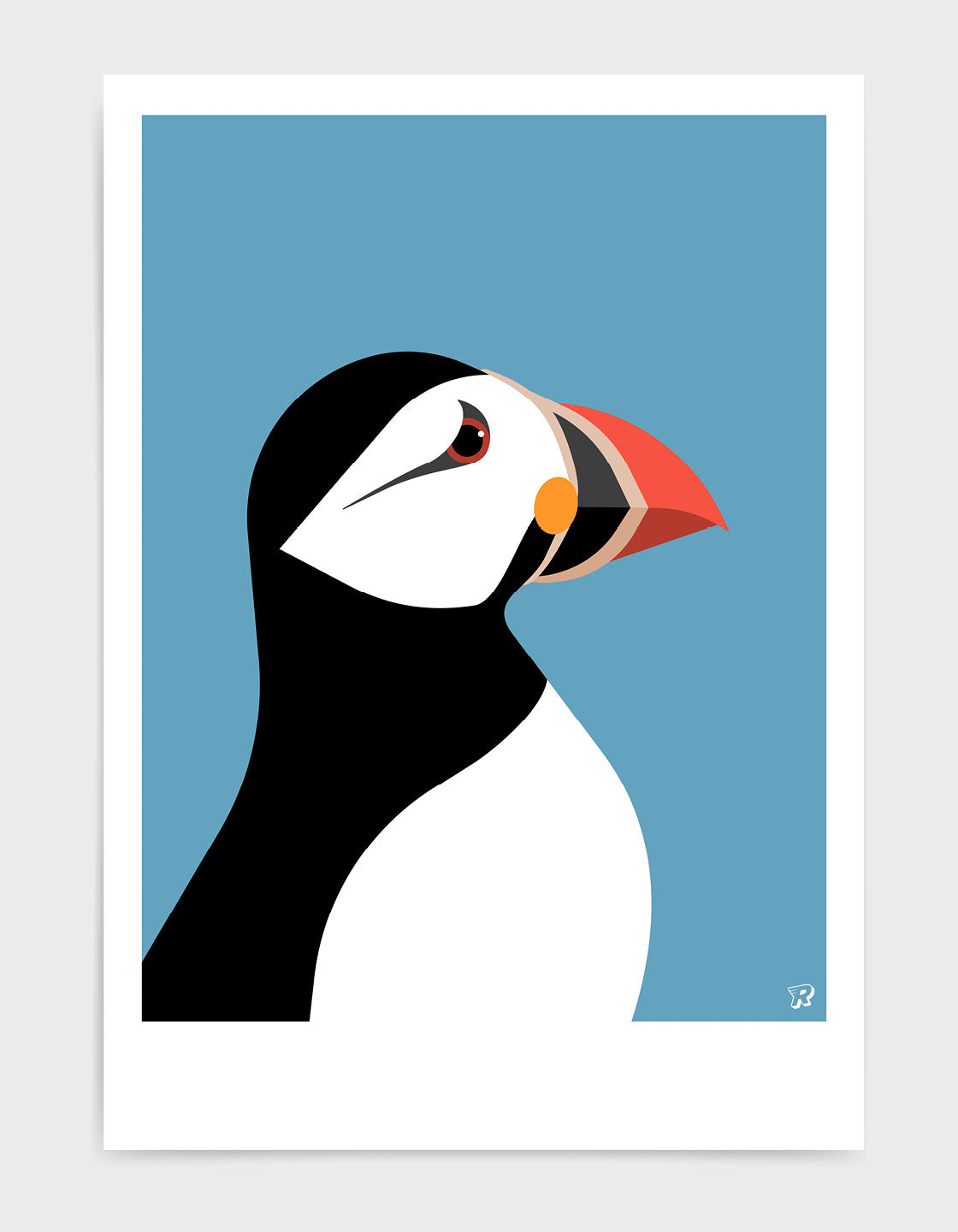 Colorful Puffin wall art showcasing vibrant colors and unique markings, perfect for home decor.