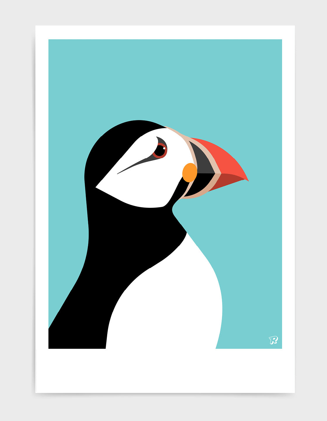 Colorful Puffin wall art showcasing vibrant colors and unique markings, perfect for home decor.