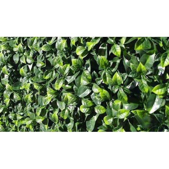 A 25cm x 25cm Jasmine Leaf Artificial Hedge Panel showcasing realistic green leaves and vibrant colors, ideal for vertical gardens.