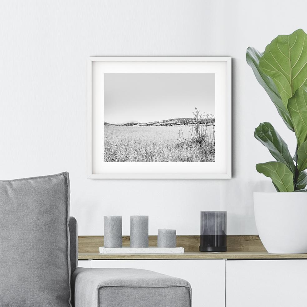 SAN LUIS OBISPO GRASS FIELD eco-friendly print on premium recycled paper with matte finish.