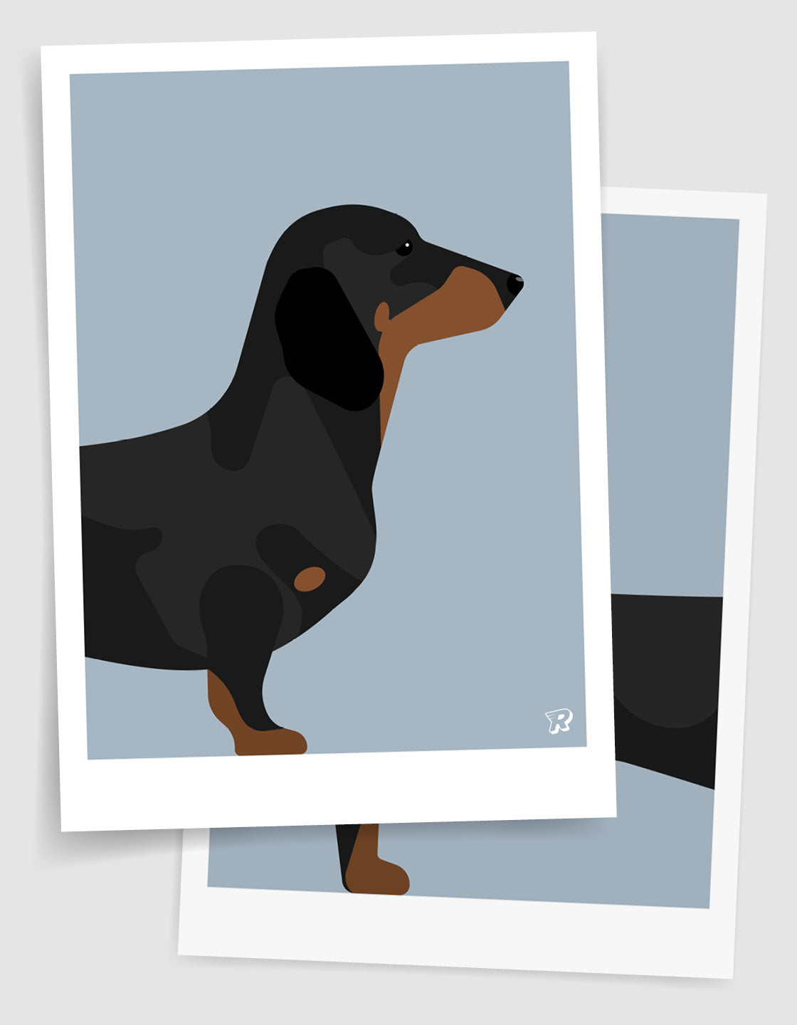 A whimsical pair of Sausage Dogs, showcasing two halves that can be displayed together or hung apart for a humorous effect.