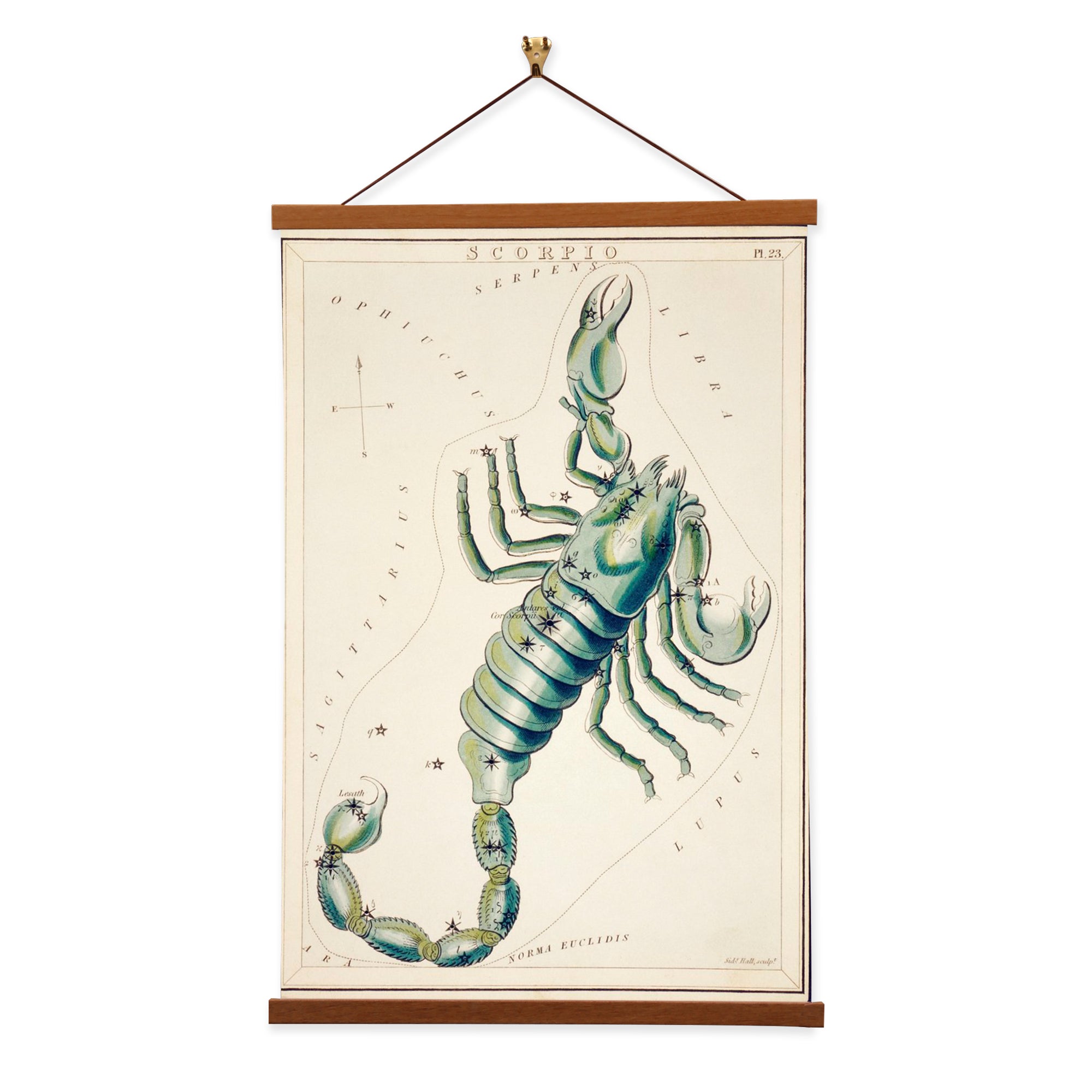 A detailed canvas print of the Scorpio constellation by Sidney Hall, showcasing intricate stars and the scorpion shape.