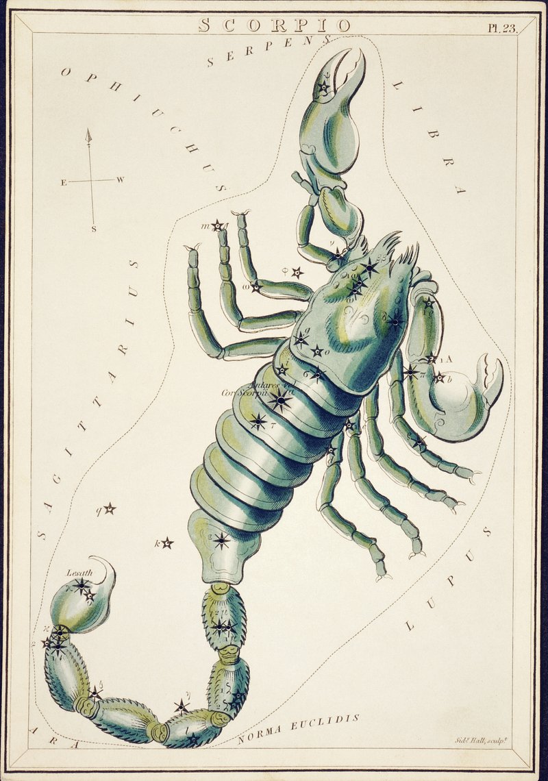 A detailed canvas print of the Scorpio constellation by Sidney Hall, showcasing intricate stars and the scorpion shape.