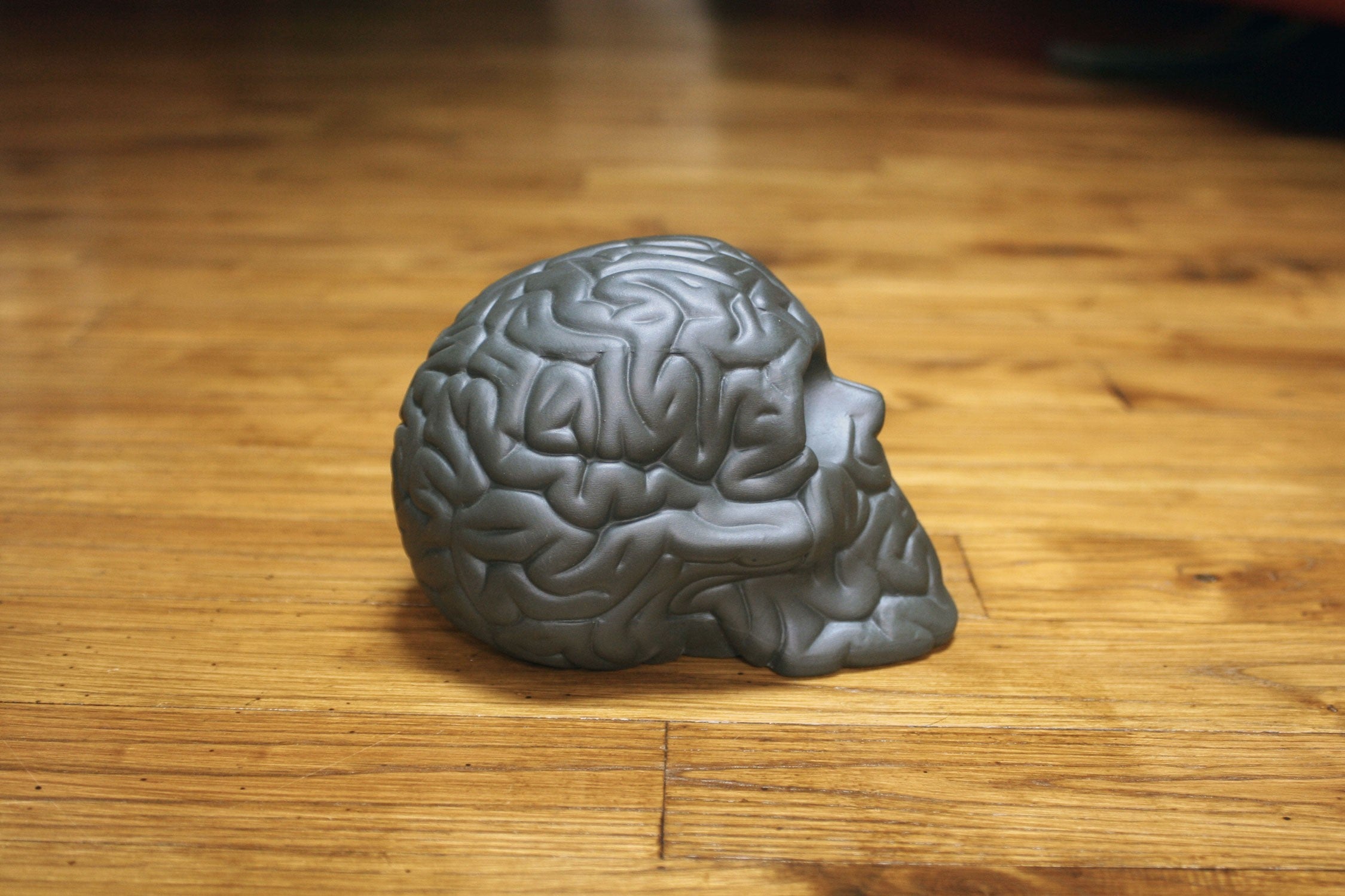 Skull Brain 'BLACK' sculpture by Emilio Garcia, crafted from black porcelain, showcasing a unique artistic design.