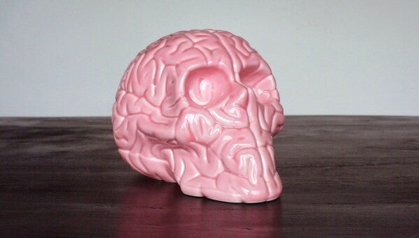 Skull Brain 'PINK' sculpture by Emilio Garcia, crafted from white porcelain with a vibrant pink enamel finish, showcasing a unique artistic design.