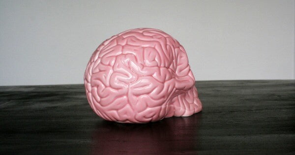 Skull Brain 'PINK' sculpture by Emilio Garcia, crafted from white porcelain with a vibrant pink enamel finish, showcasing a unique artistic design.