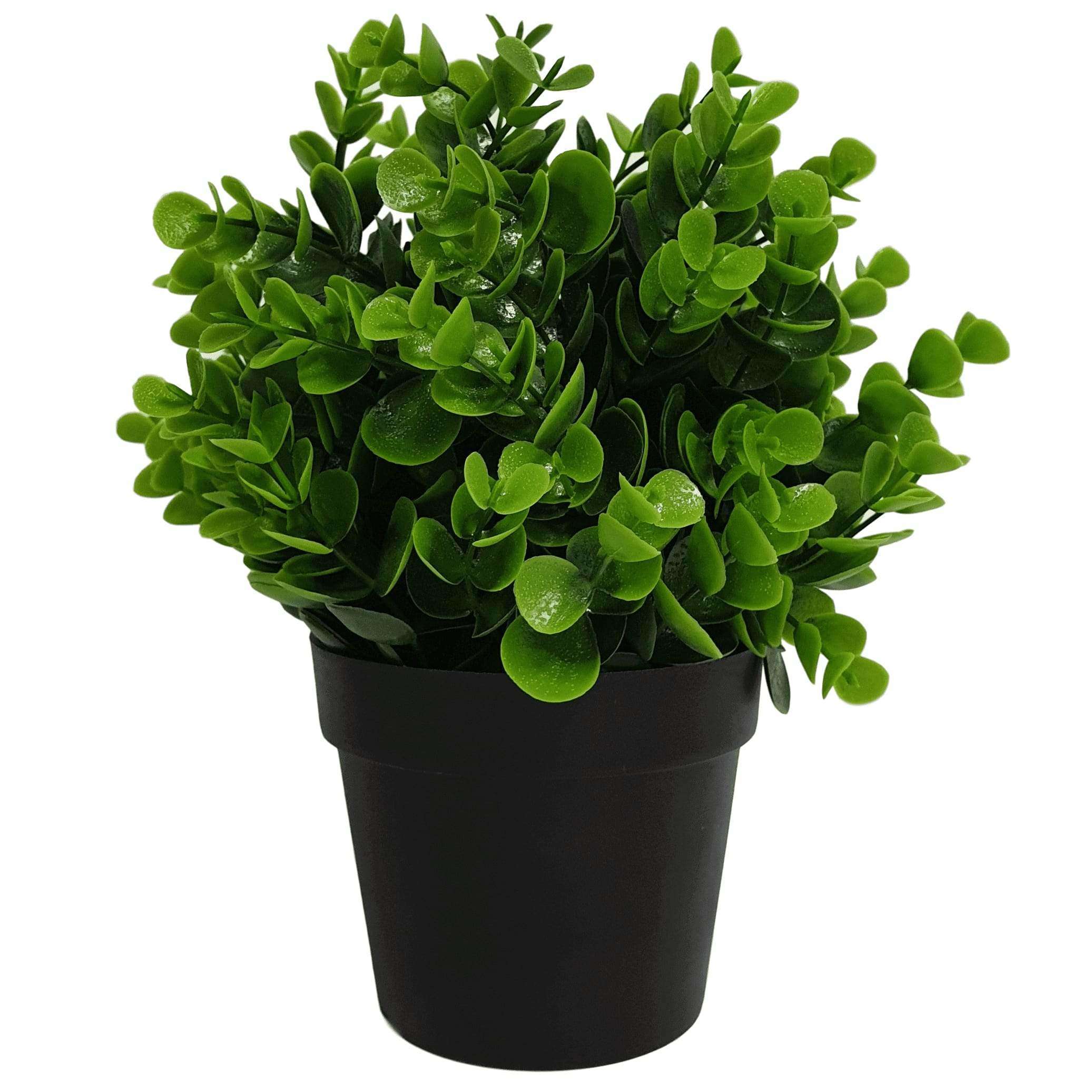 Small potted artificial peperomia plant with realistic green leaves, perfect for indoor and outdoor decor.