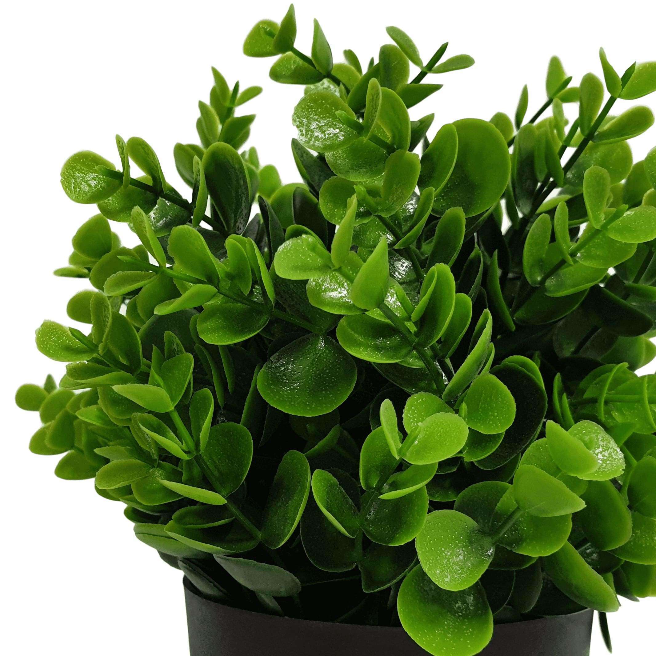 Small potted artificial peperomia plant with realistic green leaves, perfect for indoor and outdoor decor.