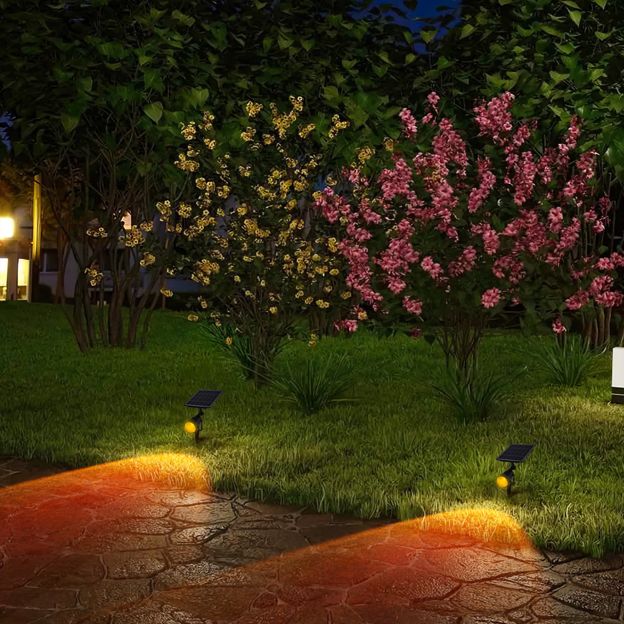 Solar Power Outdoor Sunset Projector Light illuminating a garden pathway with a warm sunset projection.