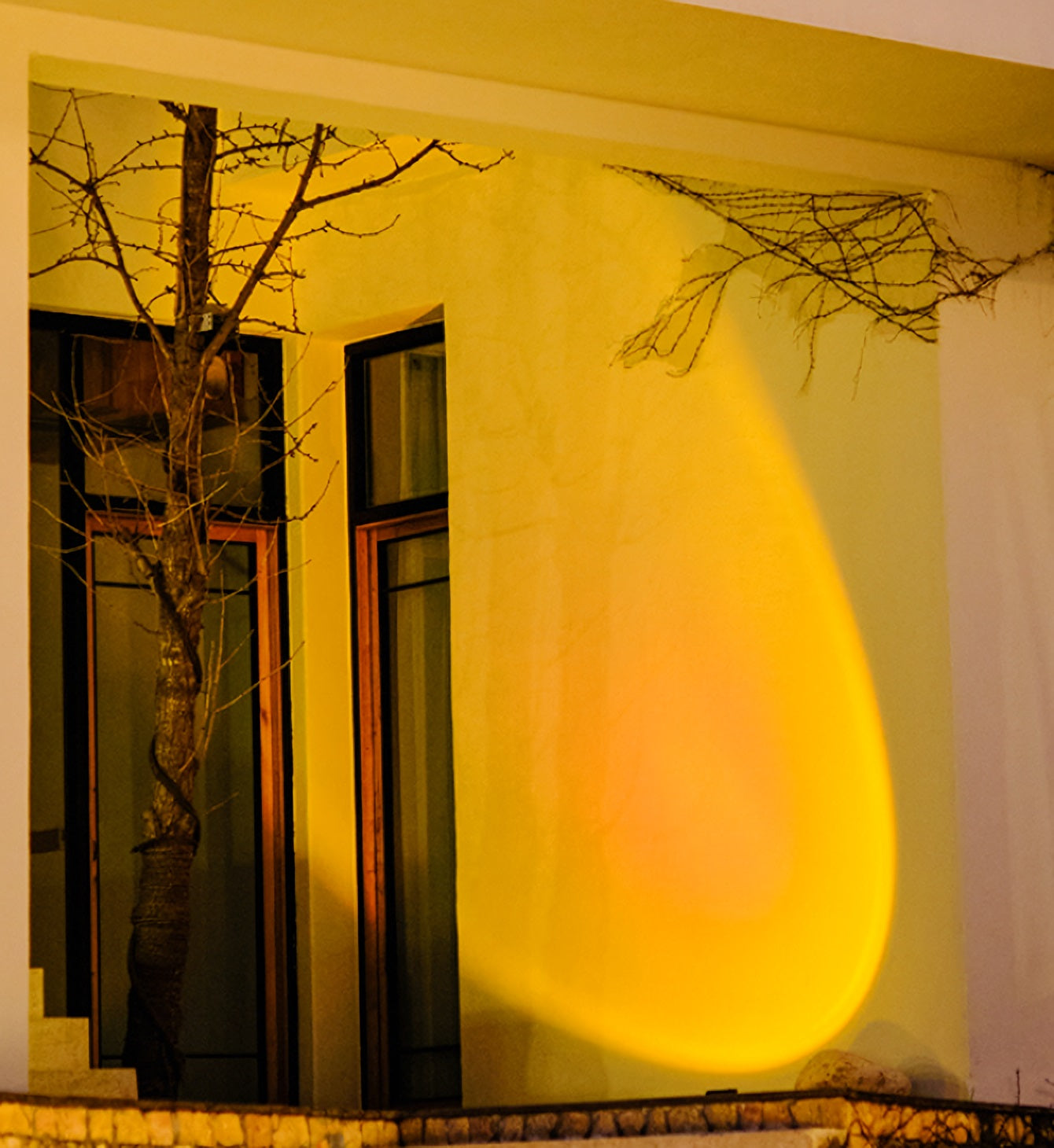 Solar Power Outdoor Sunset Projector Light illuminating a garden pathway with a warm sunset projection.