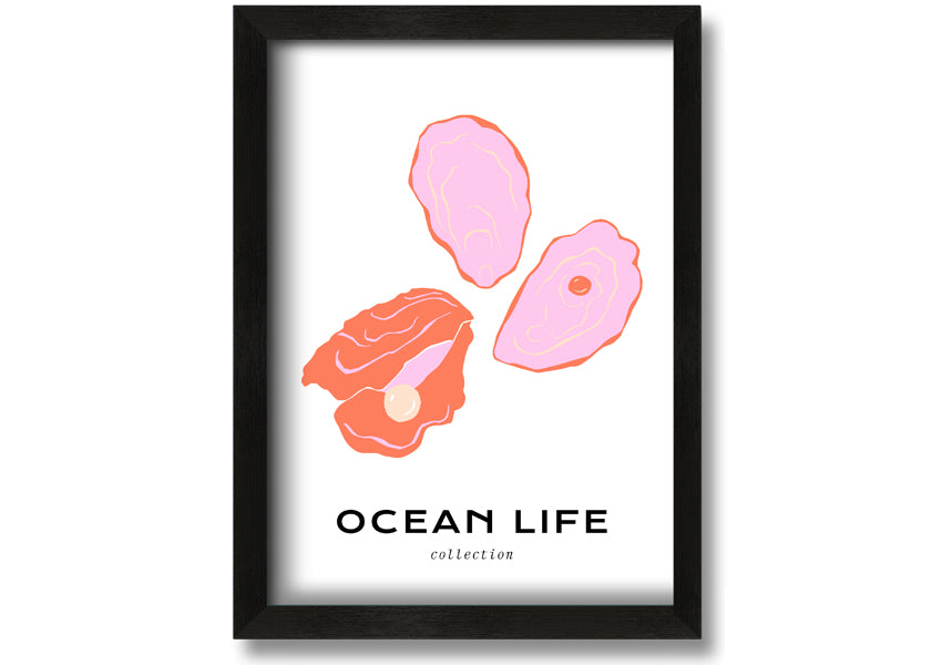 A beautifully framed print of a stunning ocean shell, showcasing intricate details and vibrant colors, ready to hang on a wall.