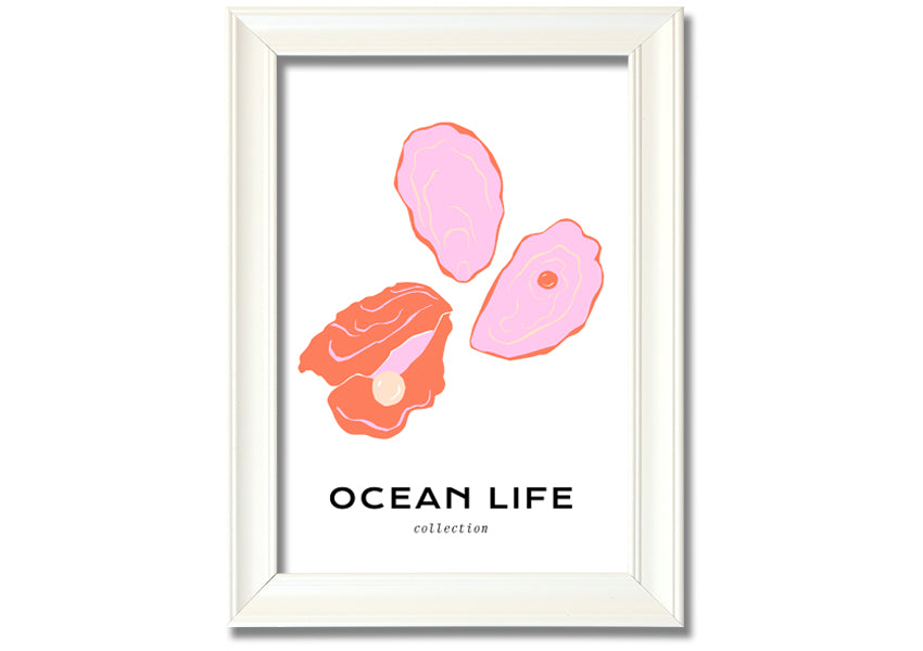 A beautifully framed print of a stunning ocean shell, showcasing intricate details and vibrant colors, ready to hang on a wall.