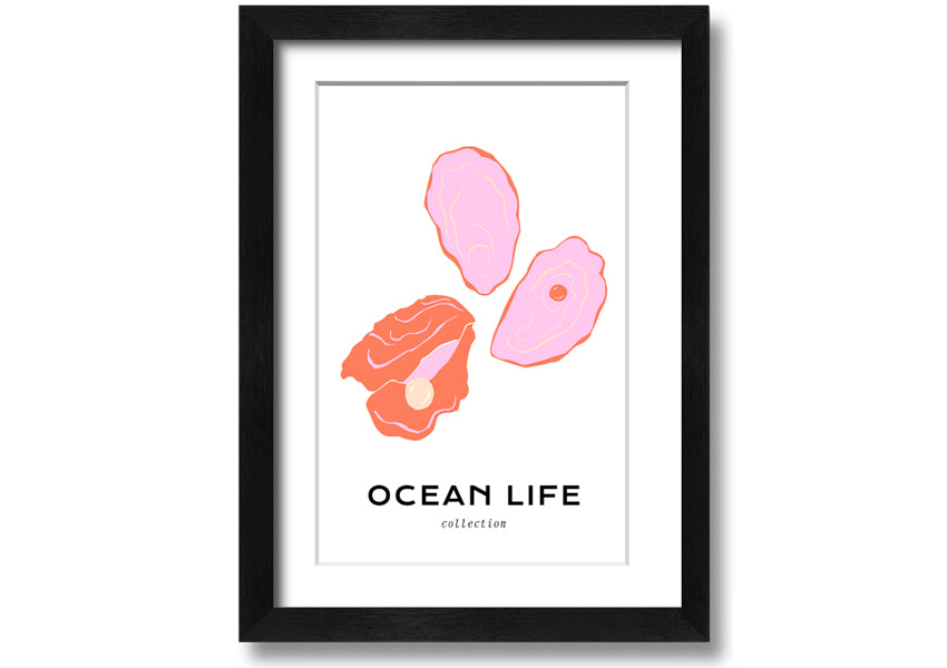 A beautifully framed print of a stunning ocean shell, showcasing intricate details and vibrant colors, ready to hang on a wall.