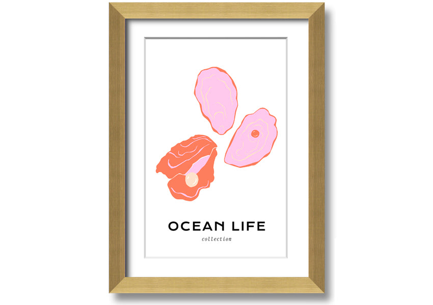 A beautifully framed print of a stunning ocean shell, showcasing intricate details and vibrant colors, ready to hang on a wall.