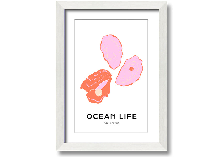 A beautifully framed print of a stunning ocean shell, showcasing intricate details and vibrant colors, ready to hang on a wall.