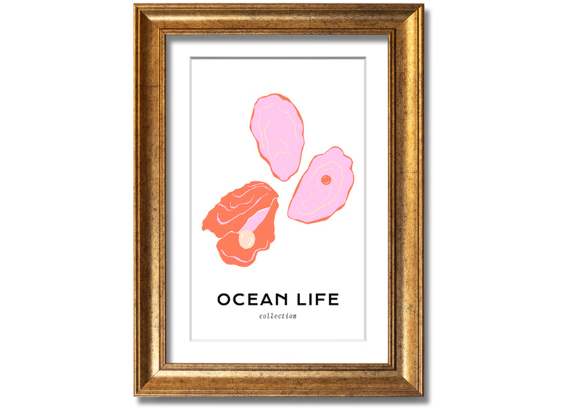 A beautifully framed print of a stunning ocean shell, showcasing intricate details and vibrant colors, ready to hang on a wall.