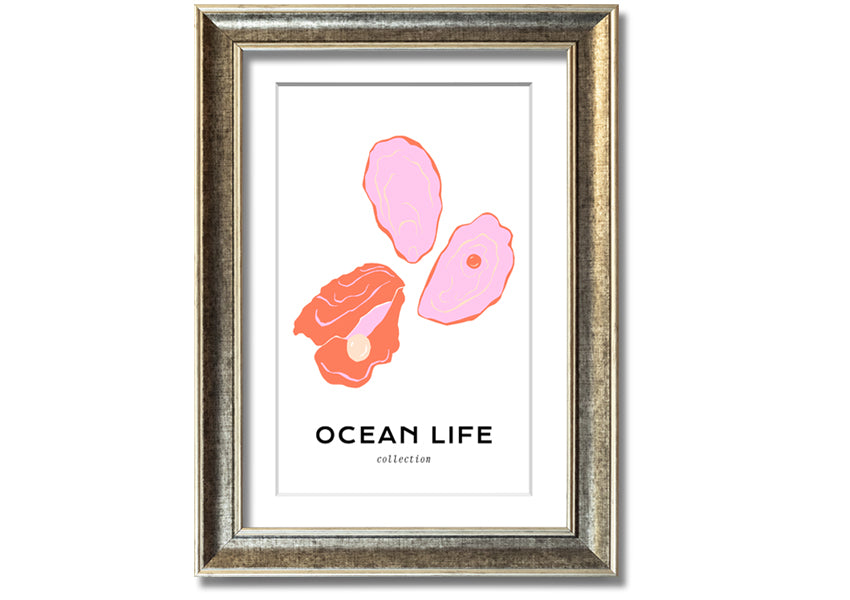 A beautifully framed print of a stunning ocean shell, showcasing intricate details and vibrant colors, ready to hang on a wall.