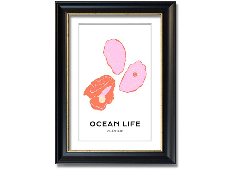 A beautifully framed print of a stunning ocean shell, showcasing intricate details and vibrant colors, ready to hang on a wall.