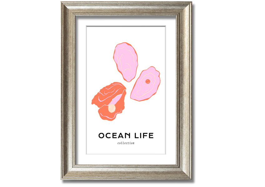 A beautifully framed print of a stunning ocean shell, showcasing intricate details and vibrant colors, ready to hang on a wall.