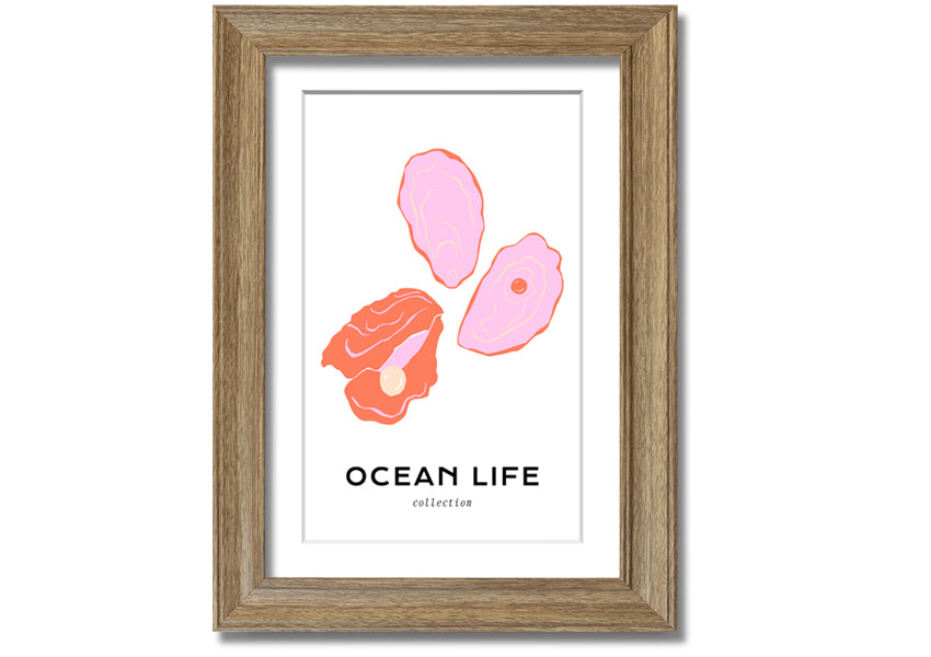 A beautifully framed print of a stunning ocean shell, showcasing intricate details and vibrant colors, ready to hang on a wall.