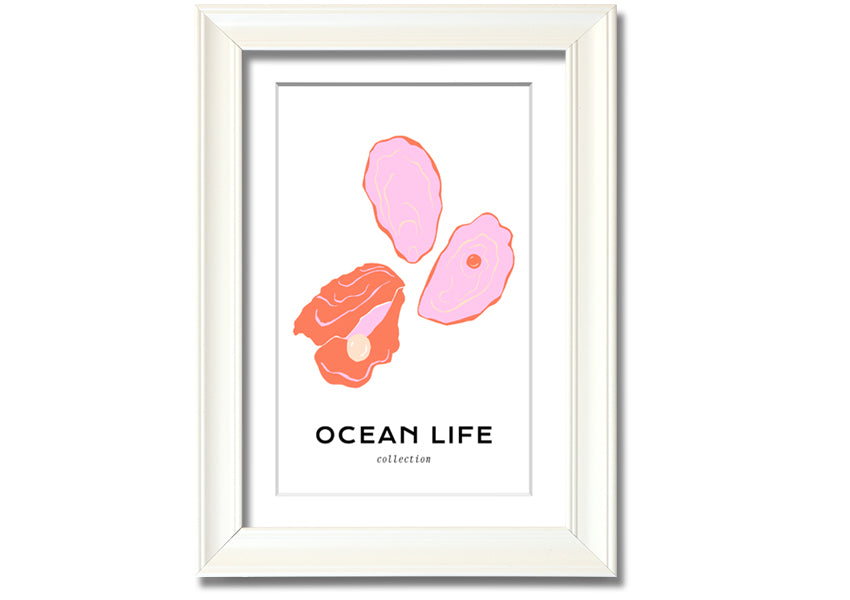 A beautifully framed print of a stunning ocean shell, showcasing intricate details and vibrant colors, ready to hang on a wall.