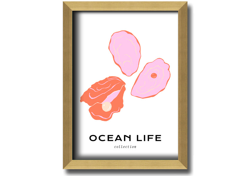 A beautifully framed print of a stunning ocean shell, showcasing intricate details and vibrant colors, ready to hang on a wall.