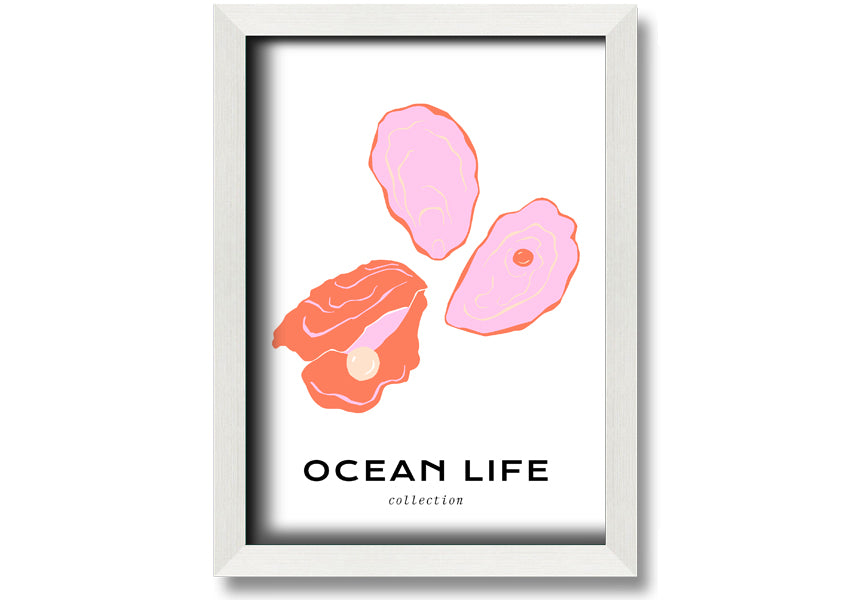 A beautifully framed print of a stunning ocean shell, showcasing intricate details and vibrant colors, ready to hang on a wall.