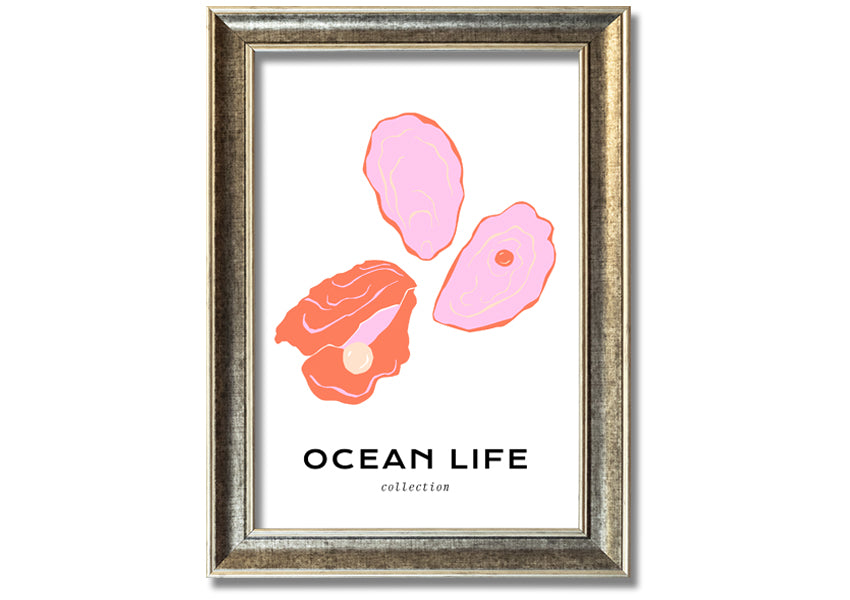 A beautifully framed print of a stunning ocean shell, showcasing intricate details and vibrant colors, ready to hang on a wall.