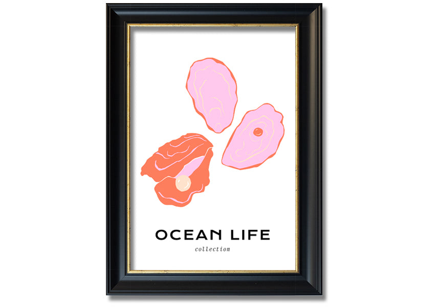 A beautifully framed print of a stunning ocean shell, showcasing intricate details and vibrant colors, ready to hang on a wall.