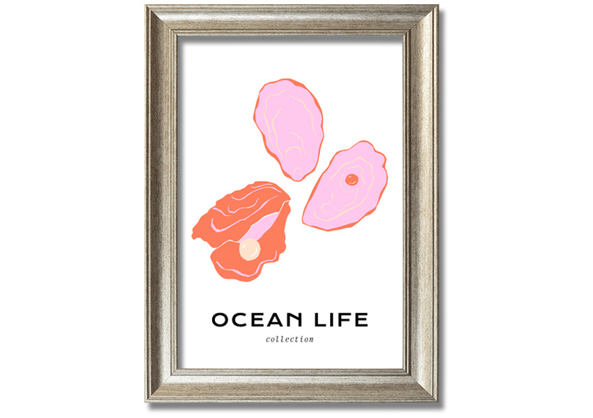 A beautifully framed print of a stunning ocean shell, showcasing intricate details and vibrant colors, ready to hang on a wall.