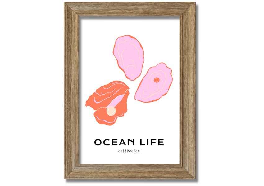 A beautifully framed print of a stunning ocean shell, showcasing intricate details and vibrant colors, ready to hang on a wall.