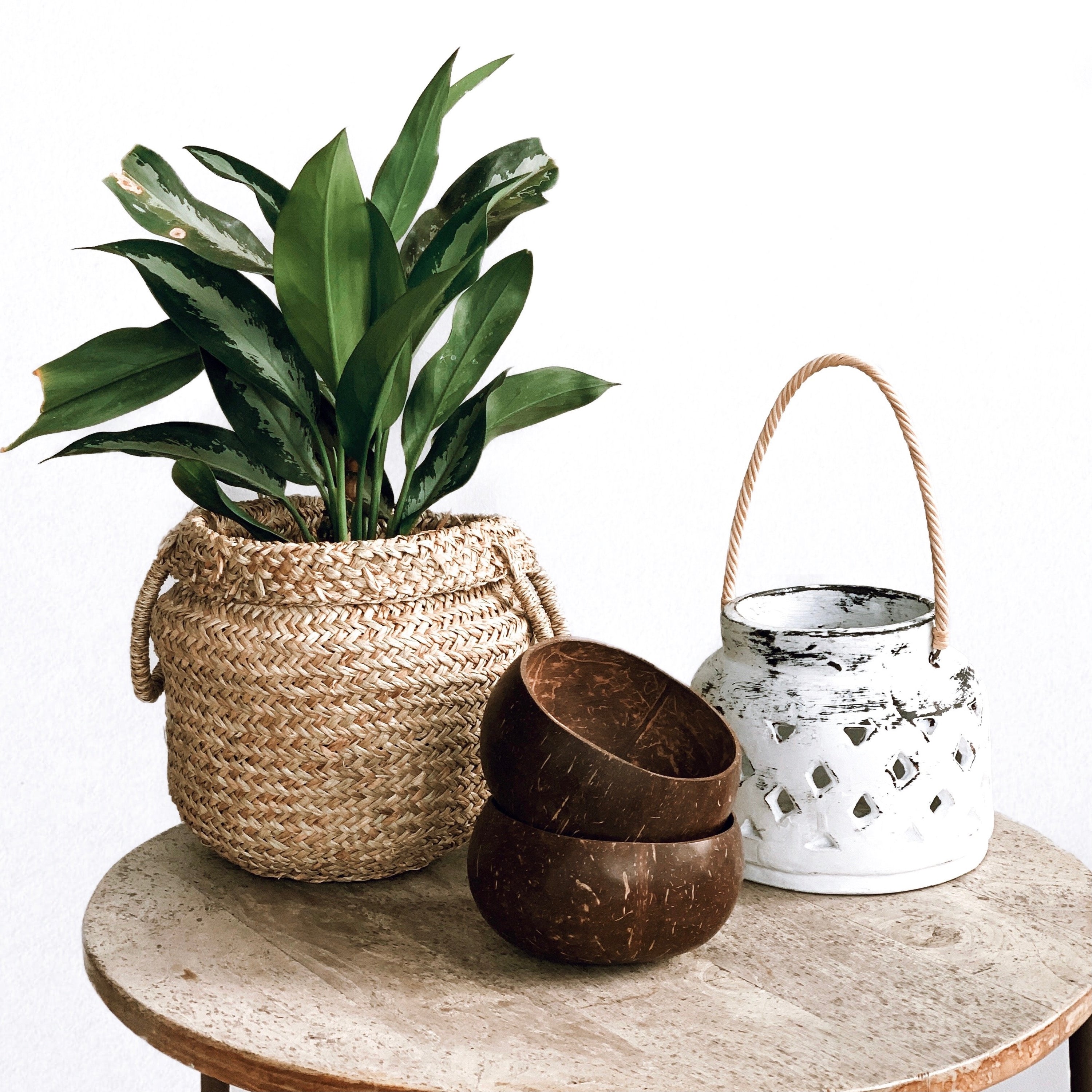 A beautifully crafted Taça de Coco Natural bowl made from real coconut shell, showcasing its unique texture and shape.