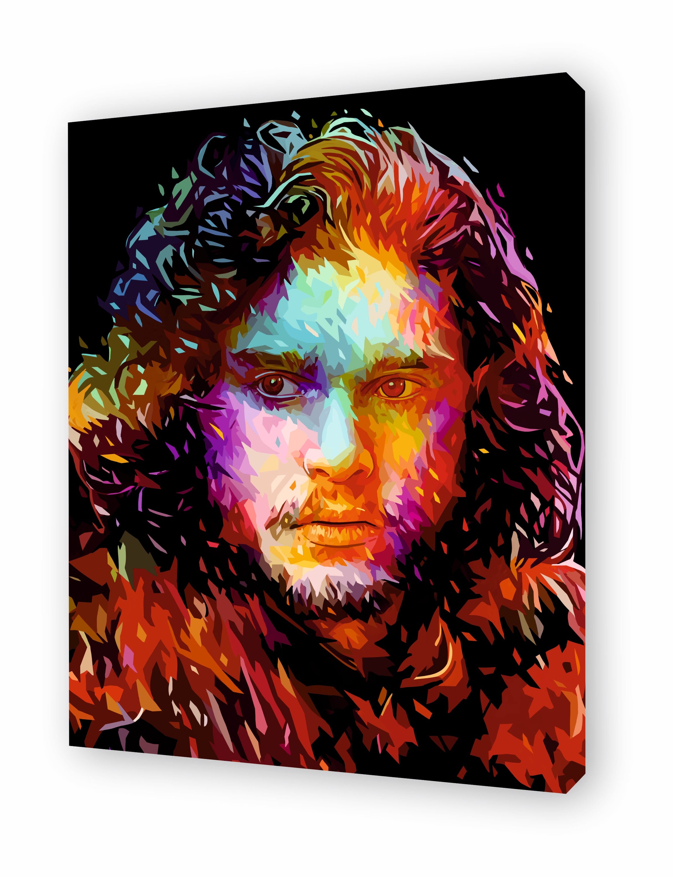 Tableau JON SNOW by Alessandro Pautasso, featuring vibrant vector art of the iconic character in a unique mixed media style.