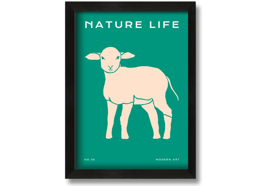 A beautifully framed print of a little lamb, showcasing soft colors and intricate details, ready to hang on the wall.