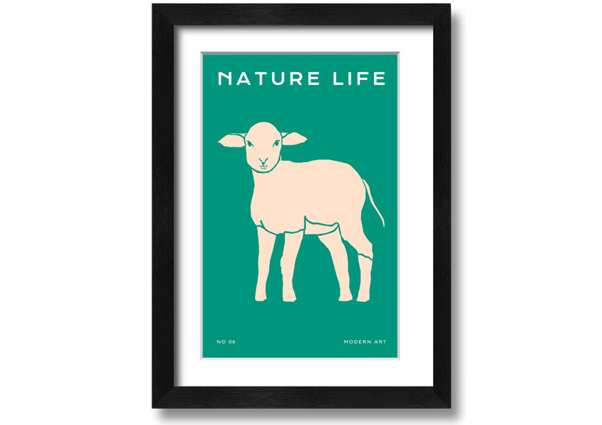 A beautifully framed print of a little lamb, showcasing soft colors and intricate details, ready to hang on the wall.