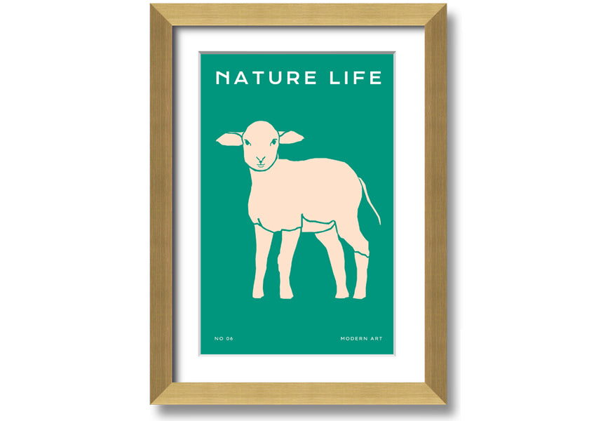 A beautifully framed print of a little lamb, showcasing soft colors and intricate details, ready to hang on the wall.