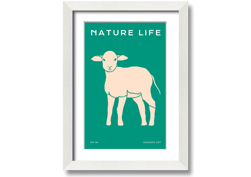 A beautifully framed print of a little lamb, showcasing soft colors and intricate details, ready to hang on the wall.