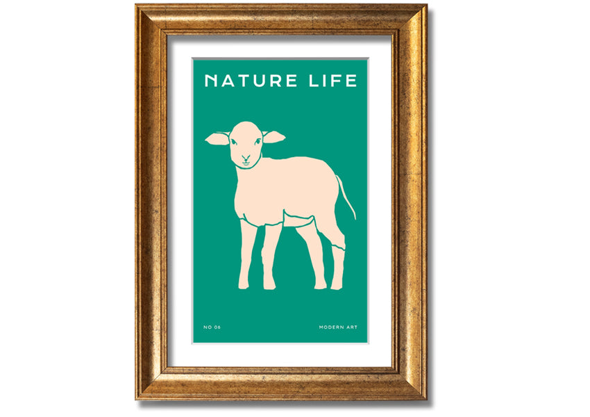 A beautifully framed print of a little lamb, showcasing soft colors and intricate details, ready to hang on the wall.