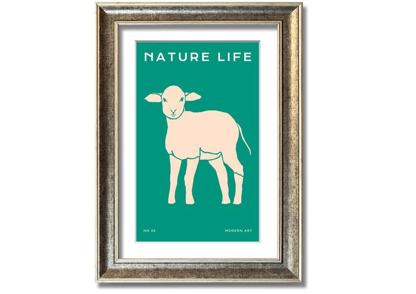 A beautifully framed print of a little lamb, showcasing soft colors and intricate details, ready to hang on the wall.