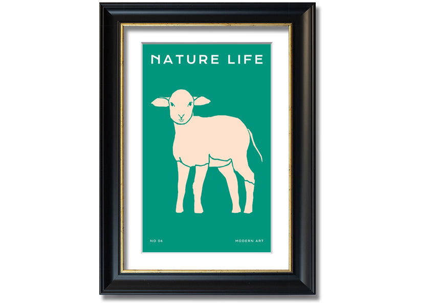 A beautifully framed print of a little lamb, showcasing soft colors and intricate details, ready to hang on the wall.