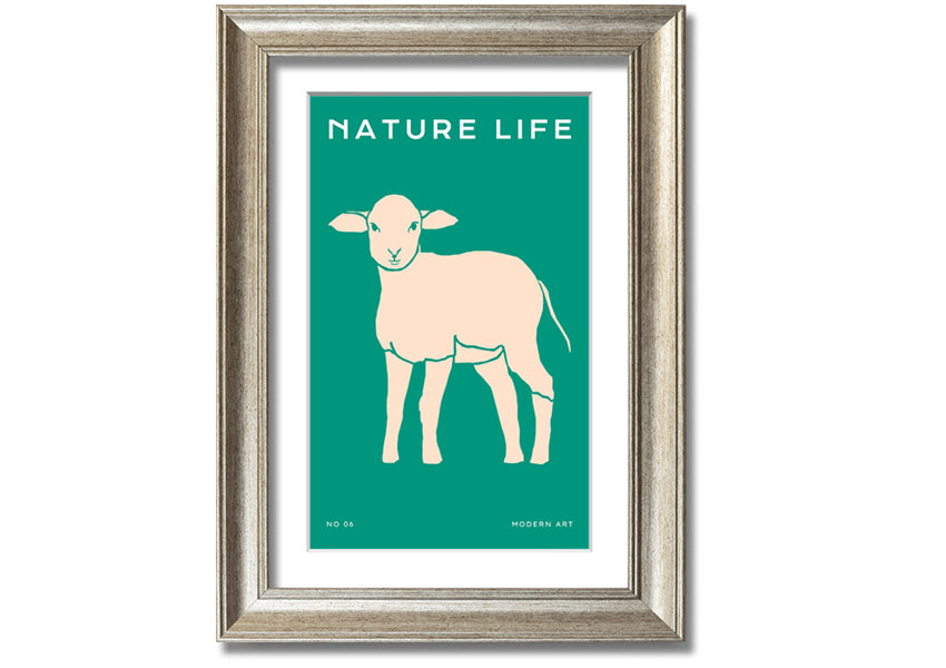 A beautifully framed print of a little lamb, showcasing soft colors and intricate details, ready to hang on the wall.