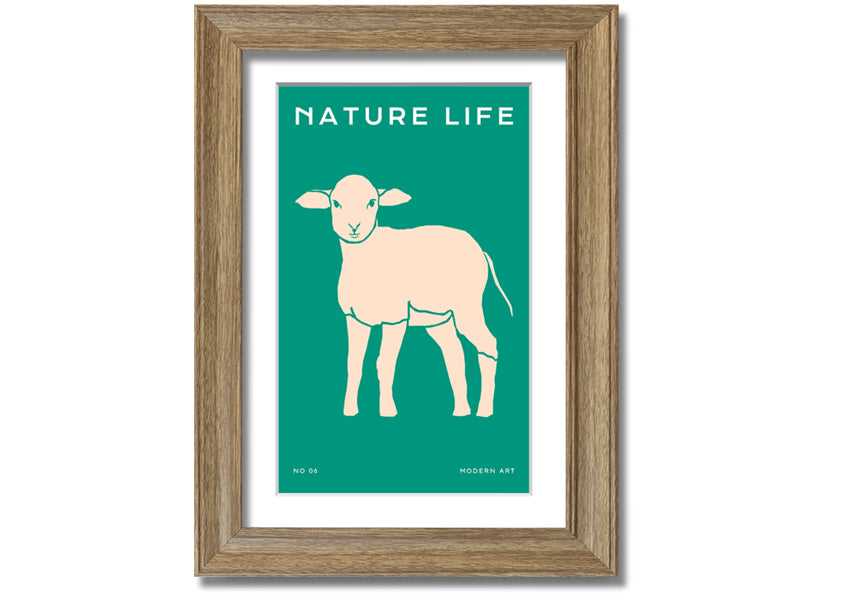 A beautifully framed print of a little lamb, showcasing soft colors and intricate details, ready to hang on the wall.