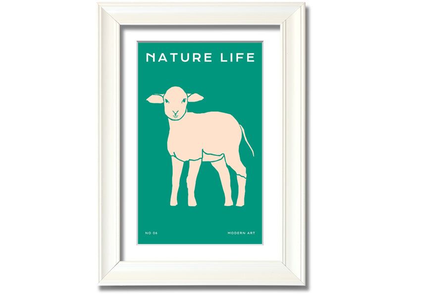 A beautifully framed print of a little lamb, showcasing soft colors and intricate details, ready to hang on the wall.