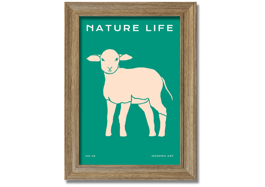 A beautifully framed print of a little lamb, showcasing soft colors and intricate details, ready to hang on the wall.