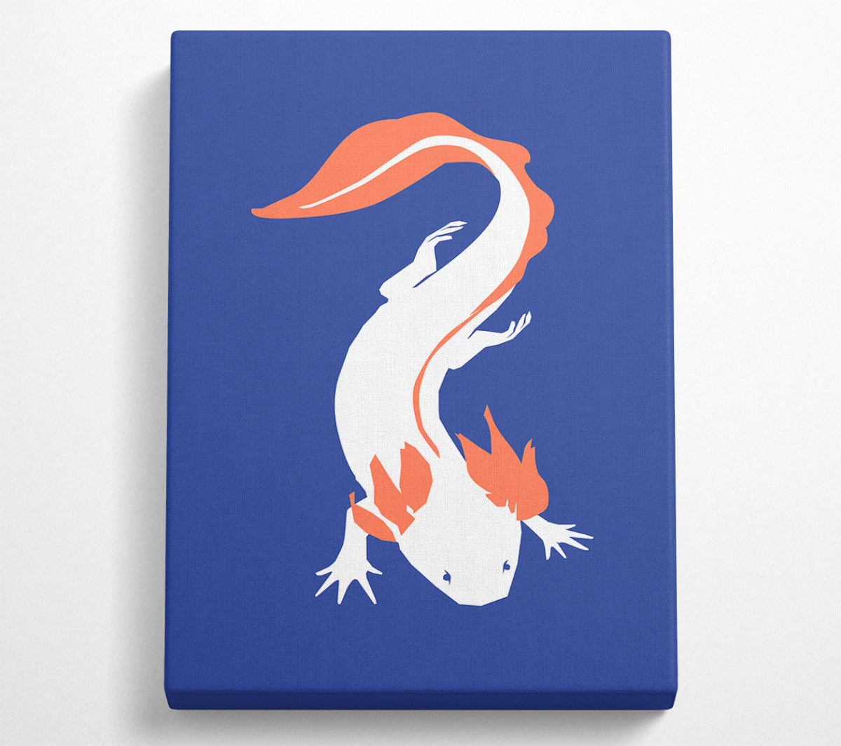 The Simple Salamanda canvas art piece mounted on a box frame, showcasing vibrant colors and intricate salamander design.