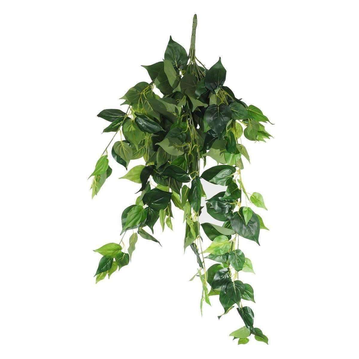 A 100cm UV Hanging Philodendron Bush with lush green leaves, perfect for outdoor decor and floral arrangements.